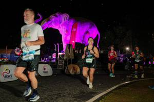 BIB: 
                            <button type="button" onclick="openModal(26534820)" class="btn btn-primary btn-sm float-right btn-popup" data-toggle="modal" data-target=".modal-high-quality">
                        <i class="fas fa-shopping-cart"></i> Add to Cart
                    </button>
                                            <button type="button" onclick="isThisMe(26534820, true)" class="btn btn-success btn-sm float-right btn-popup btn-isme hidden" data-toggle="tooltip" data-placement="bottom" title="นี่คือรูปของคุณใช่ไหม คลิกที่นี่เพื่อเอาเข้าอัลบั้ม">
                        <i class="fas fa-plus"></i> Add to album
                    </button>
                    <button type="button" onclick="isThisMe(26534820, false)" class="btn btn-warning btn-sm float-right btn-popup btn-isnotme hidden">
                        <i class="fas fa-ban"></i> Remove from album
                    </button>